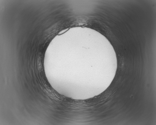 X0000076391442200611031643