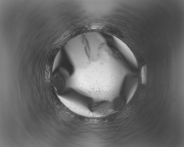 X0000076391443200611031643