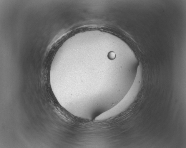 X0000076391448200611031643