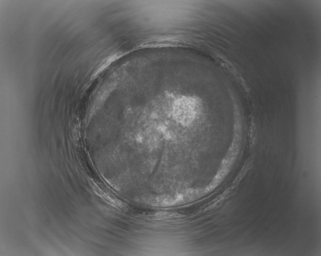 X0000076391449200611031643