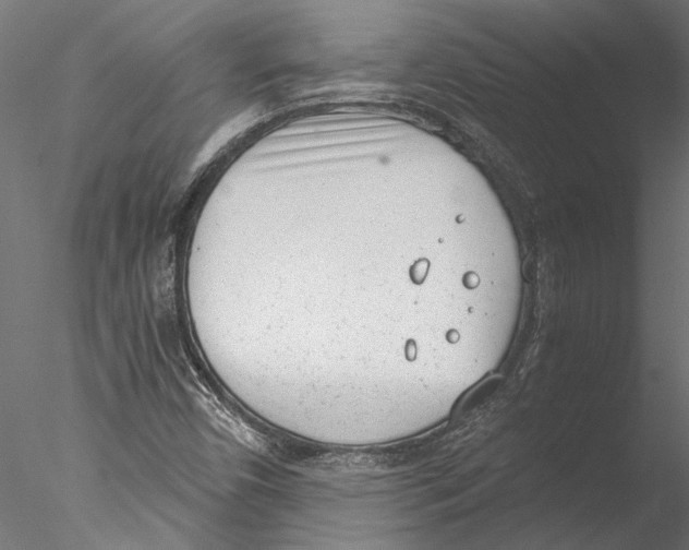 X0000076391450200611031643