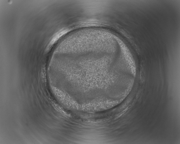 X0000076391453200611031643