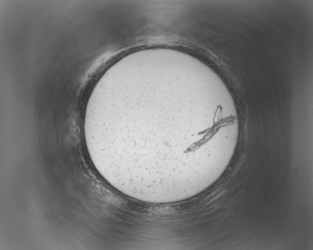 X0000076391454200611031643