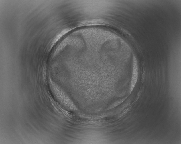 X0000076391457200611031643