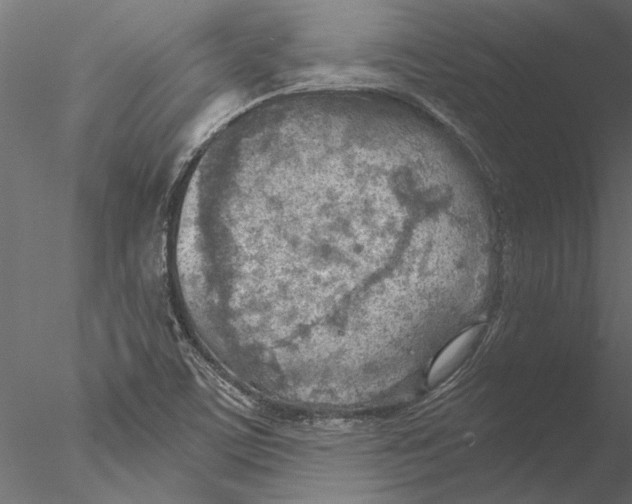 X0000076391459200611031643