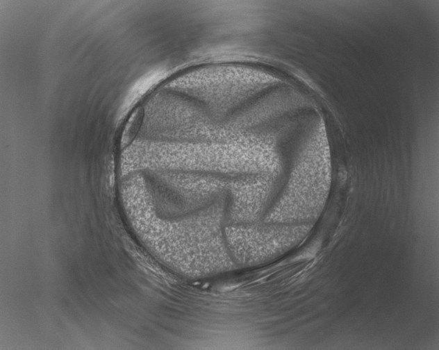 X0000076391461200611031643