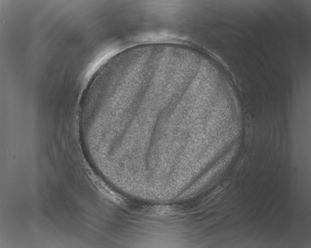 X0000076391463200611031643