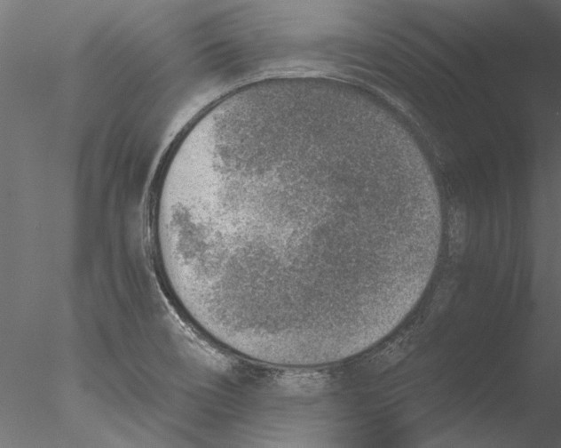 X0000076391466200611031642