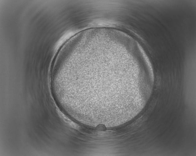 X0000076391471200611031642