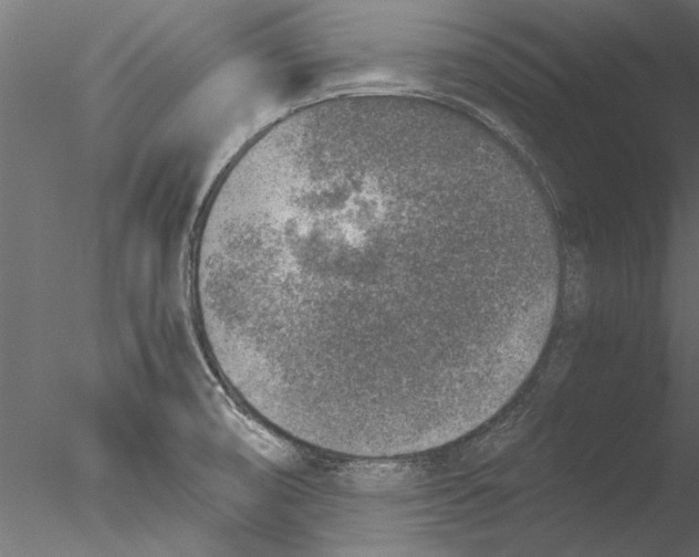 X0000076391474200611031642