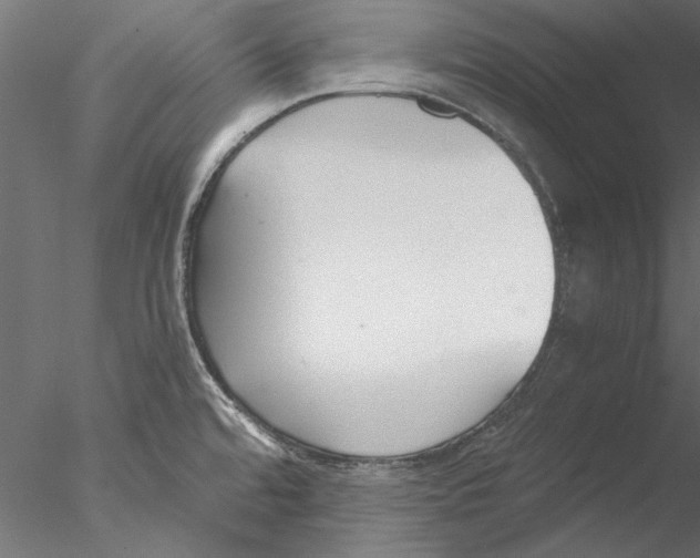 X0000076391480200611031642