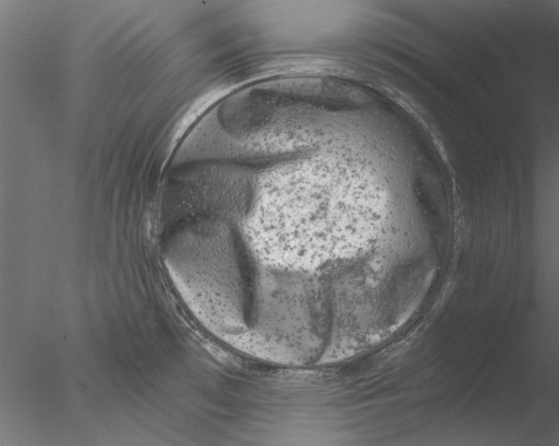 X0000076391481200611031642