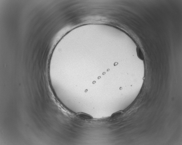 X0000076391488200611031642