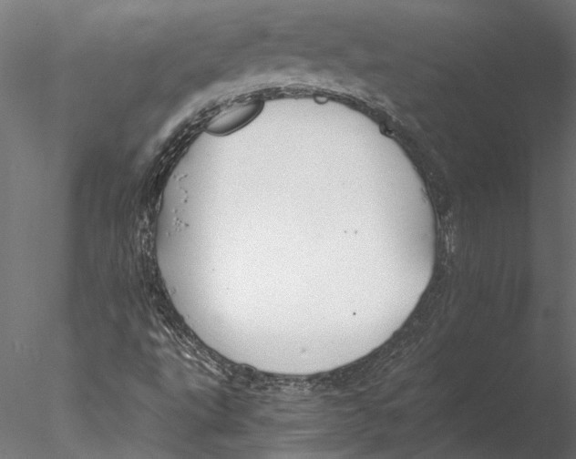 X0000076391495200611031641