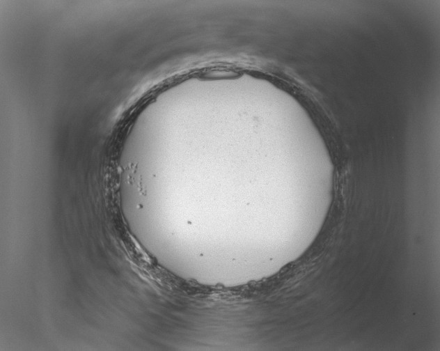 X0000076391496200611031641