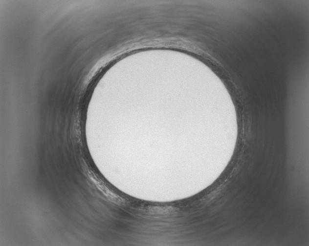 X0000076391498200611031641