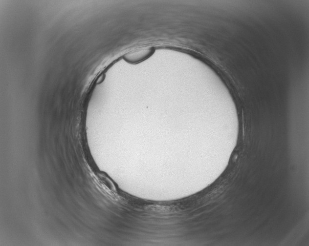 X0000076391500200611031641