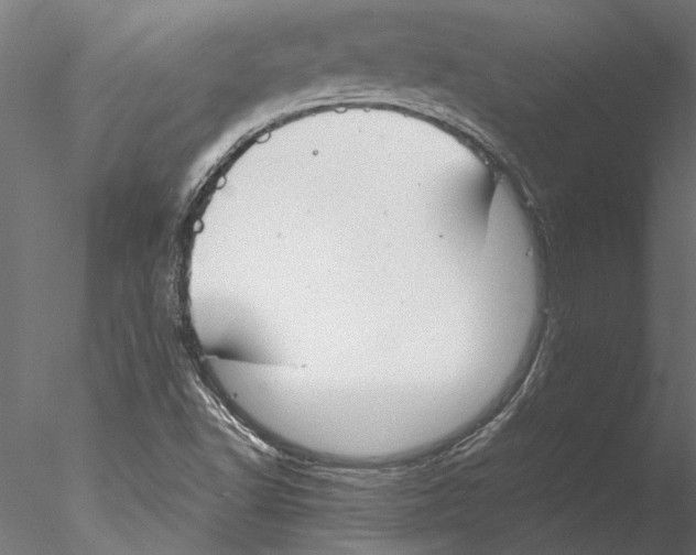 X0000076391502200611031642