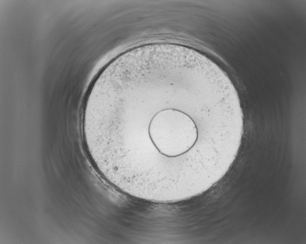 X0000076391514200611031642