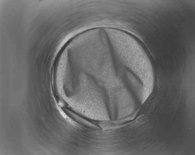 X0000076391515200611031642