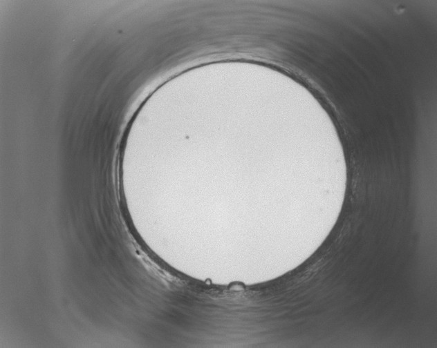 X0000076391516200611031642