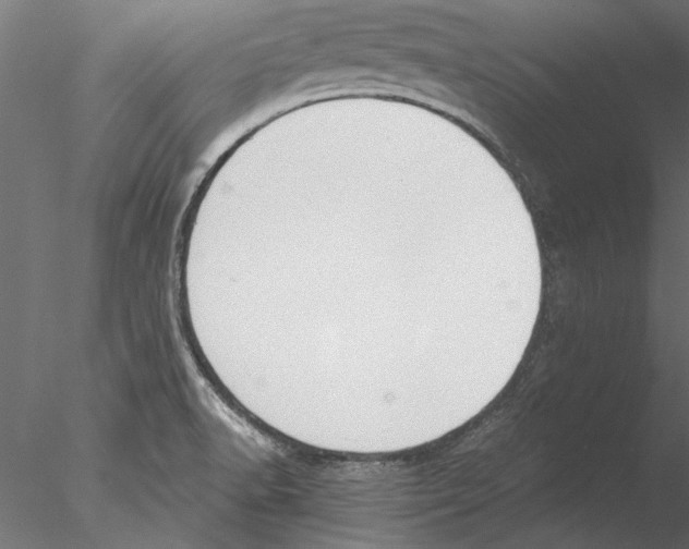 X0000076391518200611031642