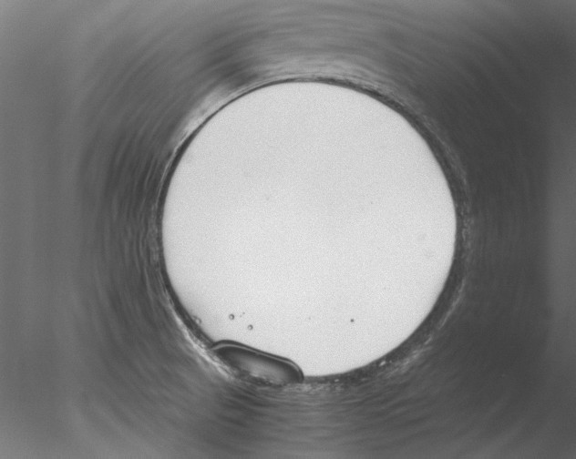 X0000076391521200611031642