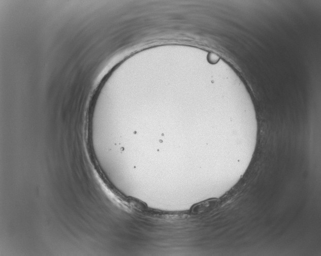 X0000076391523200611031642