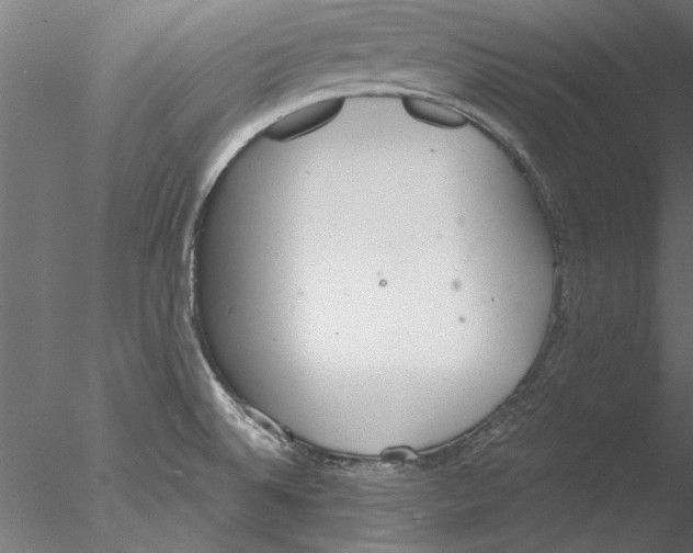 X0000076391524200611031642