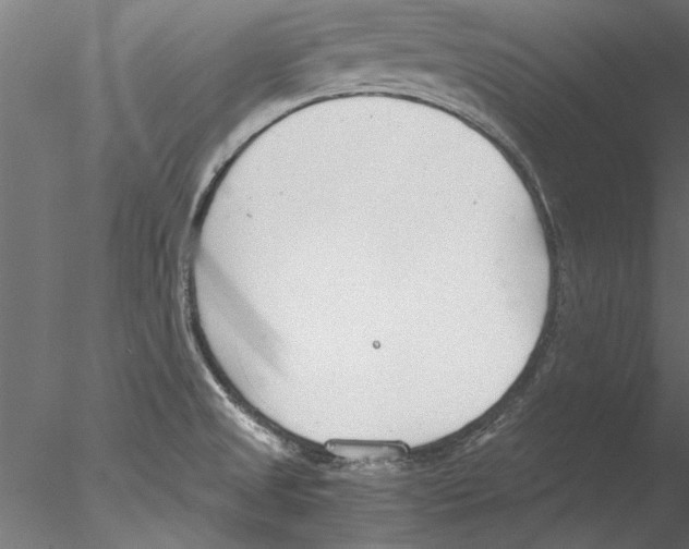 X0000076391525200611031642