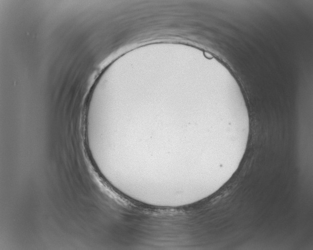 X0000076391526200611031642