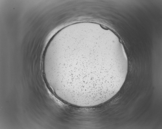 X0000076391527200611031642