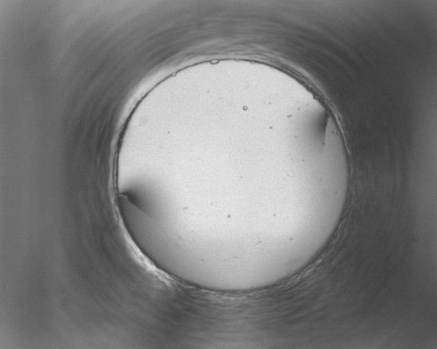 X0000076391528200611031642