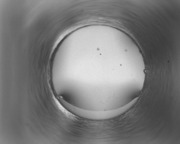 X0000076391531200611031642