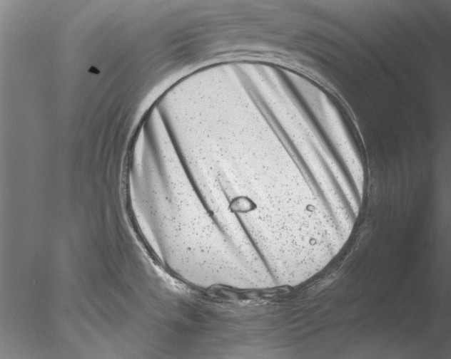 X0000076391533200611031642