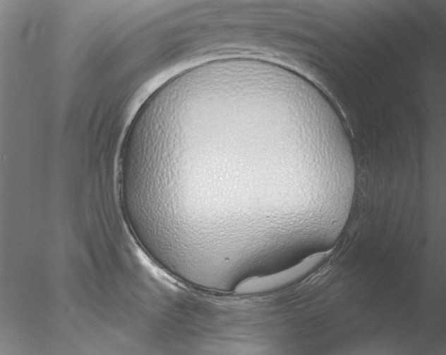 X0000076391535200611031642