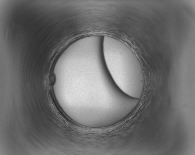 X0000076400002200610060941