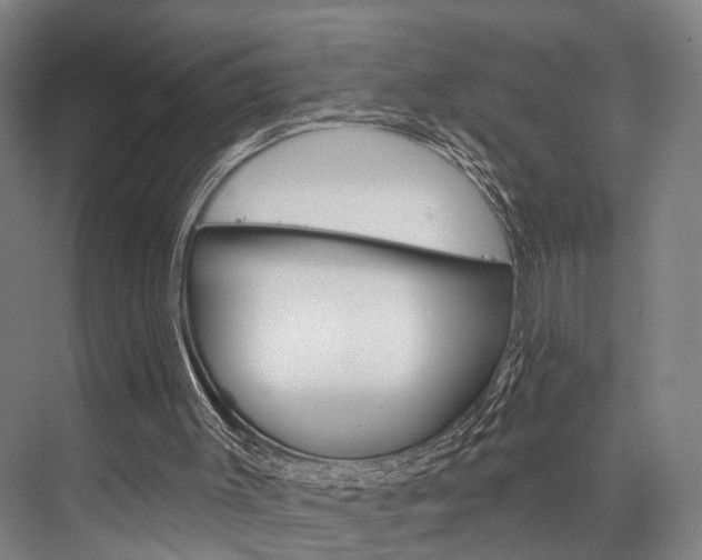 X0000076400003200610060941