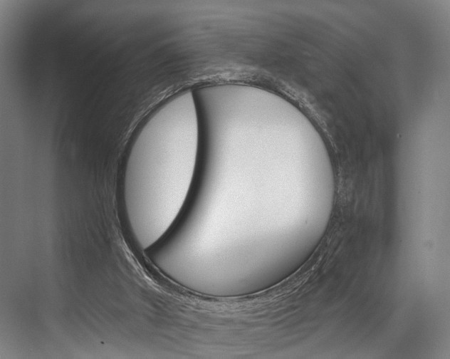 X0000076400010200610060941