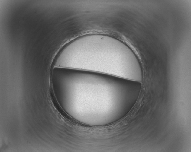 X0000076400011200610060941