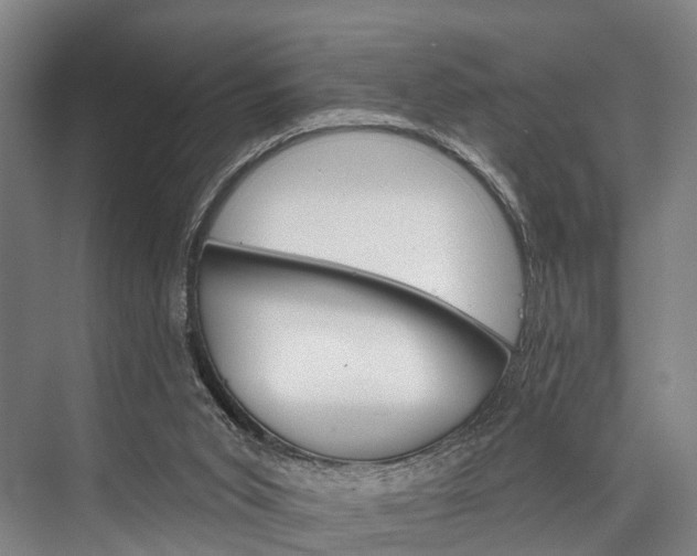 X0000076400015200610060941
