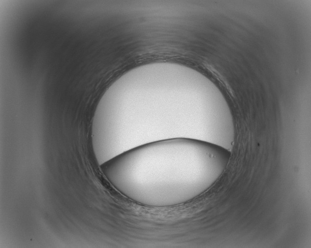 X0000076400026200610060941