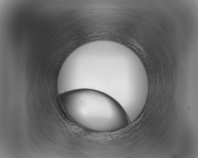 X0000076400029200610060941