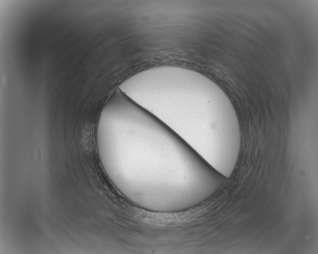 X0000076400034200610060941