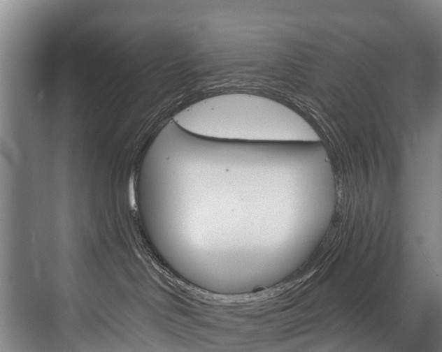 X0000076400046200610060941