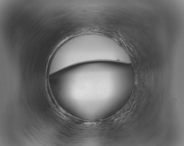 X0000076400052200610060940