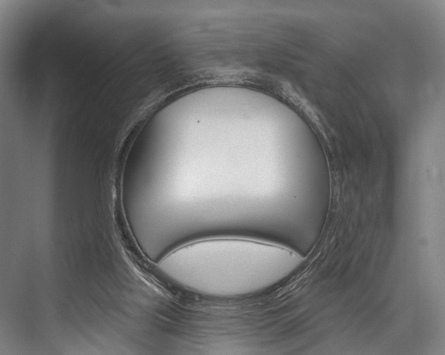 X0000076400059200610060940