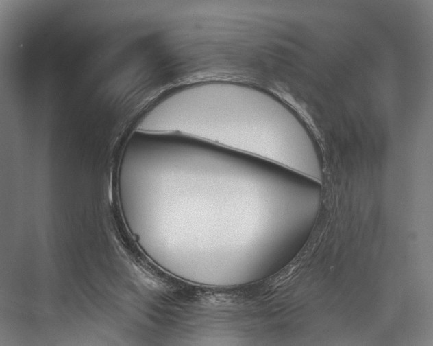X0000076400062200610060940