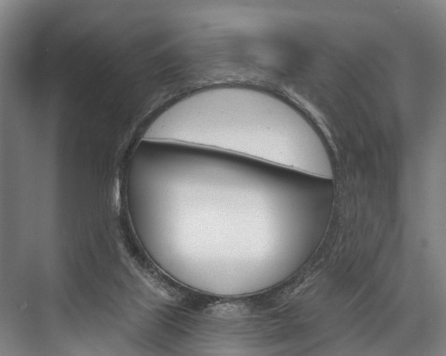 X0000076400067200610060940