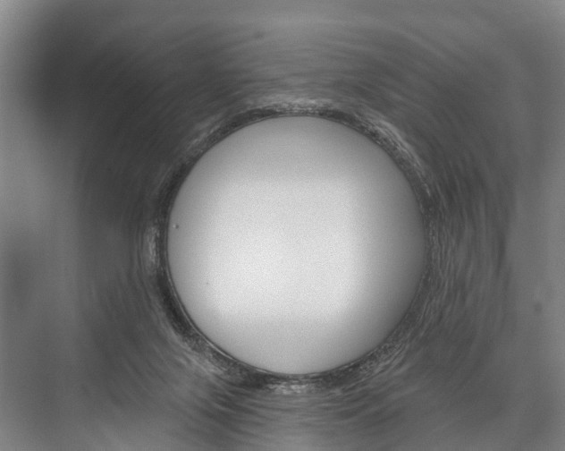 X0000076400071200610060940